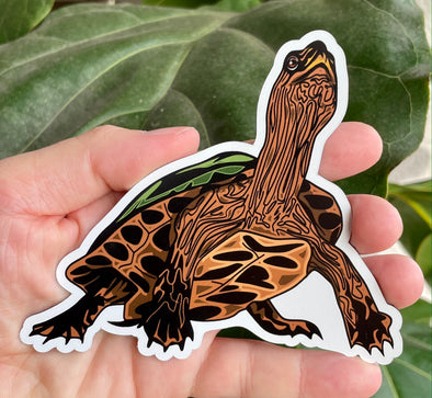 Wood Turtle Magnet - Reptile Turtle Magnetic Car Decal