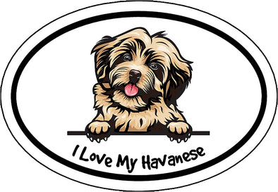 Oval I Love My Havanese Magnet - Dog Magnetic Car Decal
