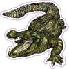 Alligator Vinyl Decal - Southern Bumper Sticker
