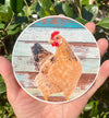 Funny Chicken Vinyl Decal - Farming Bumper Sticker