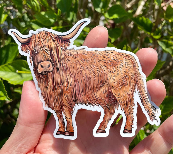 Scottish Highlander Cow Vinyl Decal - Western Bumper Sticker
