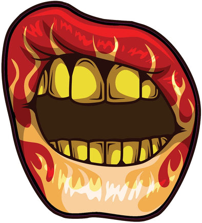 Flaming Lips Vinyl Decal - Flame Bumper Sticker