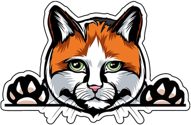 Calico Cat Kitty Decal - Cat Breed Bumper Sticker