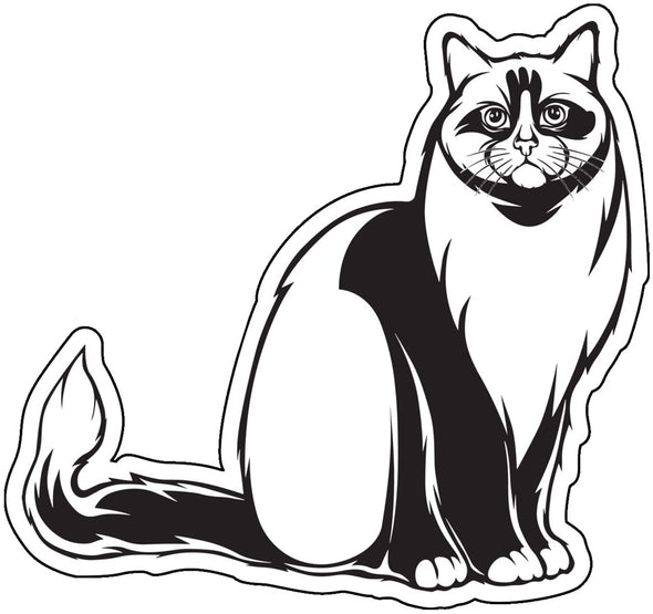 Ragdoll Kitty Decal - Cat Breed Bumper Sticker