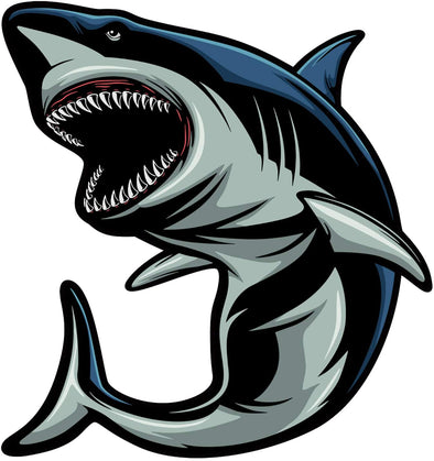 Die Cut Shark Decal - Shark Bumper Sticker
