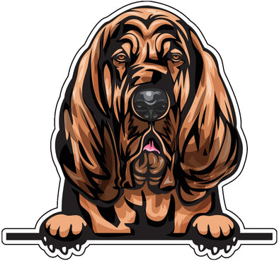Bloodhound Vinyl Decal - Dog Breed Bumper Sticker