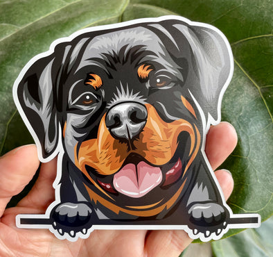 Smiling Rottweiler Dog Magnet 5 inch