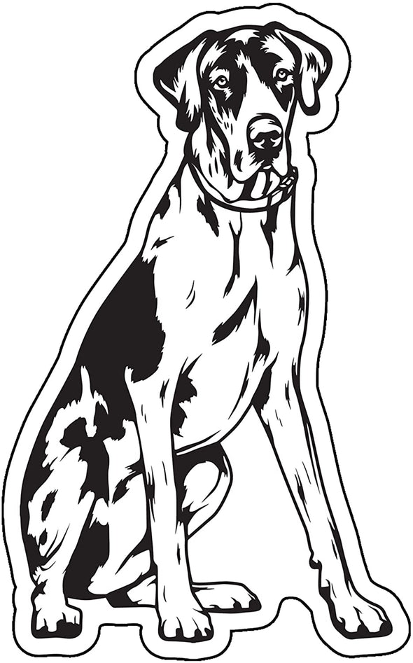 Sitting Great Dane Decal - Dog Breed Bumper Sticker
