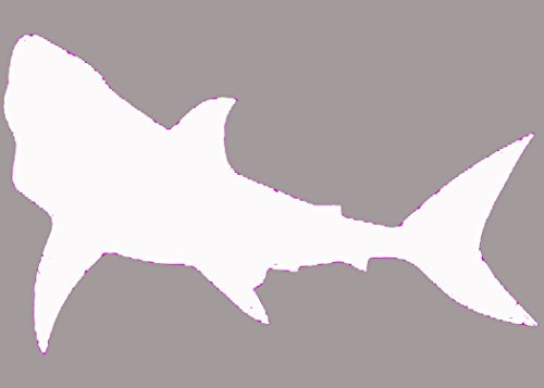 WickedGoodz White Vinyl Shark Decal Transfer - Fish Bumper Sticker - Perfect Fisherman Beach Ocean Lover Gift-WickedGoodz
