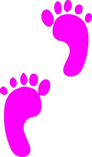 WickedGoodz Pink Footprint Tracks Vinyl Decal - Outdoors Bumper Sticker - Perfect Bigfoot Outdoor Gift-WickedGoodz