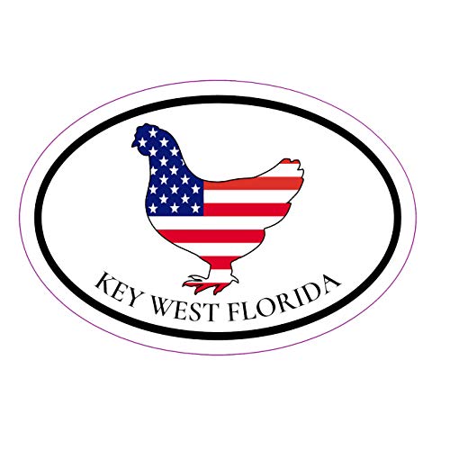 WickedGoodz Oval American Flag Chicken Key West Vinyl Decal - Florida Keys Bumper Sticker - Perfect Patriotic Key West Gift-WickedGoodz
