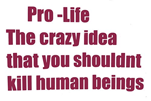 Custom Pro Life Vinyl Decal - Anti Abortion Bumper Sticker, for Tumblers, Laptops, Car Windows, Choose Life Decal-WickedGoodz