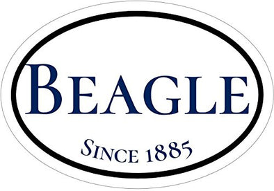 Oval Die Cut Since 1885 Beagle Vinyl Sticker - Beagle Bumper Sticker - Perfect Dog Owner Gift-WickedGoodz