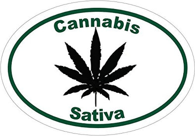 WickedGoodz Oval Vinyl Cannabis Sativa Marijuana Decal - Weed Bumper Sticker - Perfect Cannabis Gift-WickedGoodz