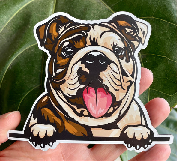 5 Inch Smiling English Bulldog Dog Magnet